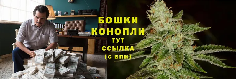 Шишки марихуана индика  магазин продажи   Новомосковск 